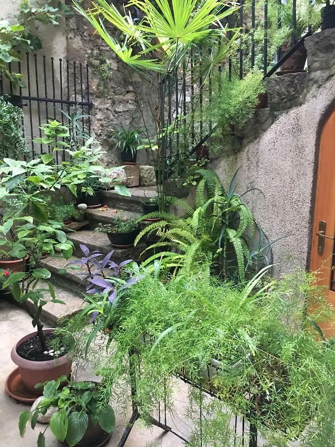 Apartment Filipas Cres