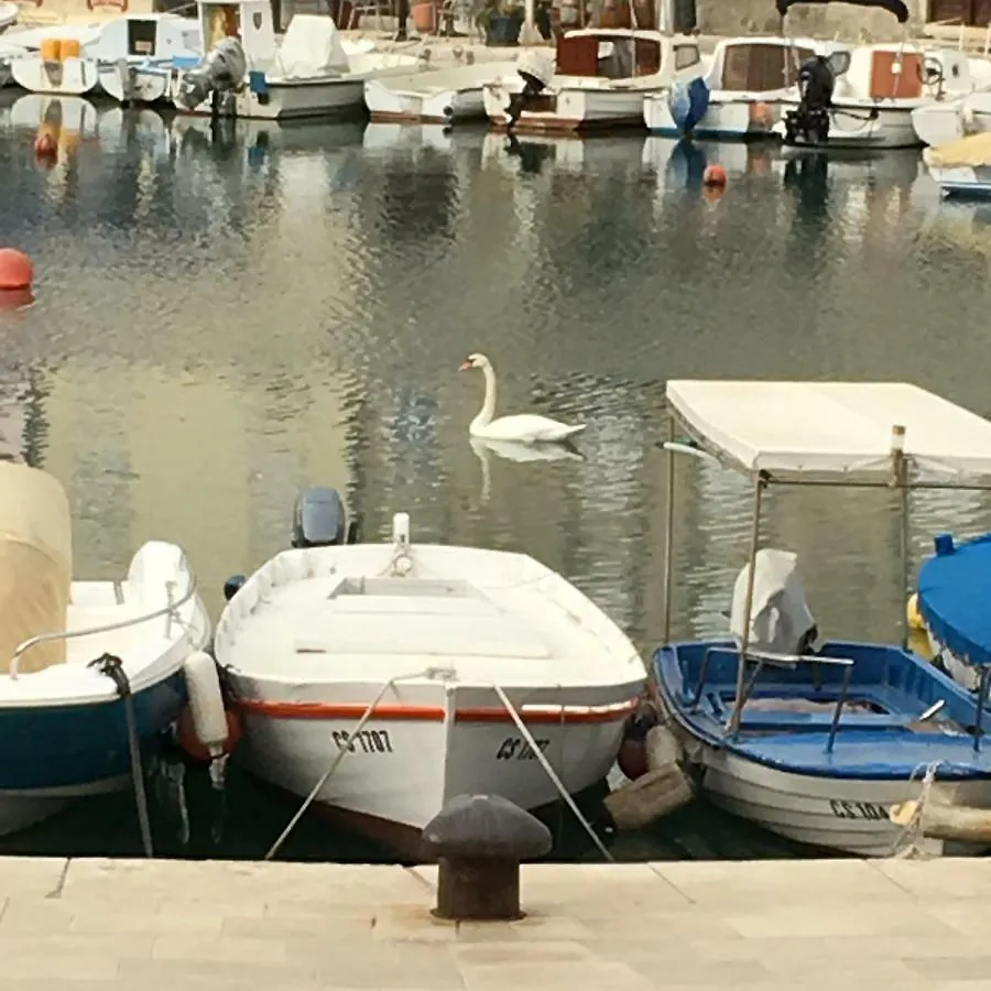 Apartment Filipas Cres Croatie